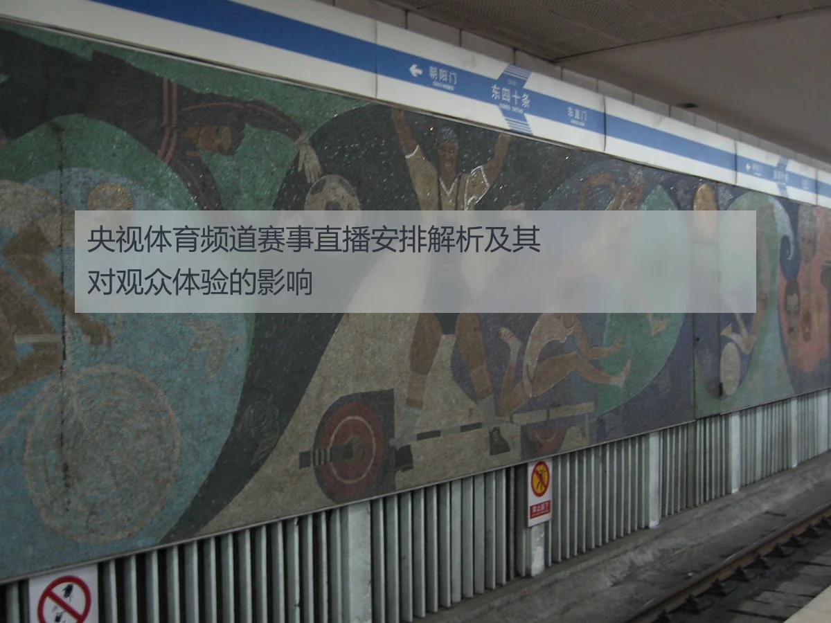 央视体育频道赛事直播安排解析及其对观众体验的影响